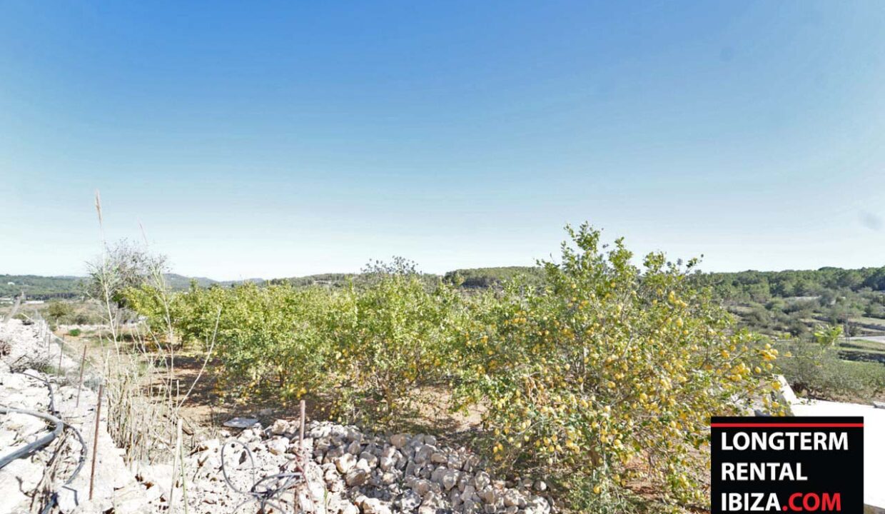 Longterm Rental Ibiza - Villa Felina 11