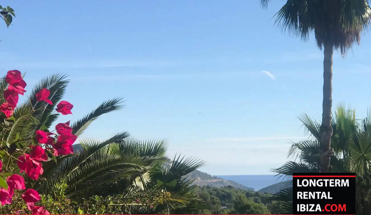 LONGTERM RENTAL IBIZA - FINCA SES OLIVERES 4