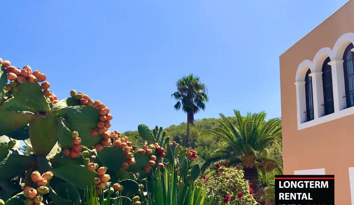 LONGTERM RENTAL IBIZA - FINCA SES OLIVERES 4 (5)