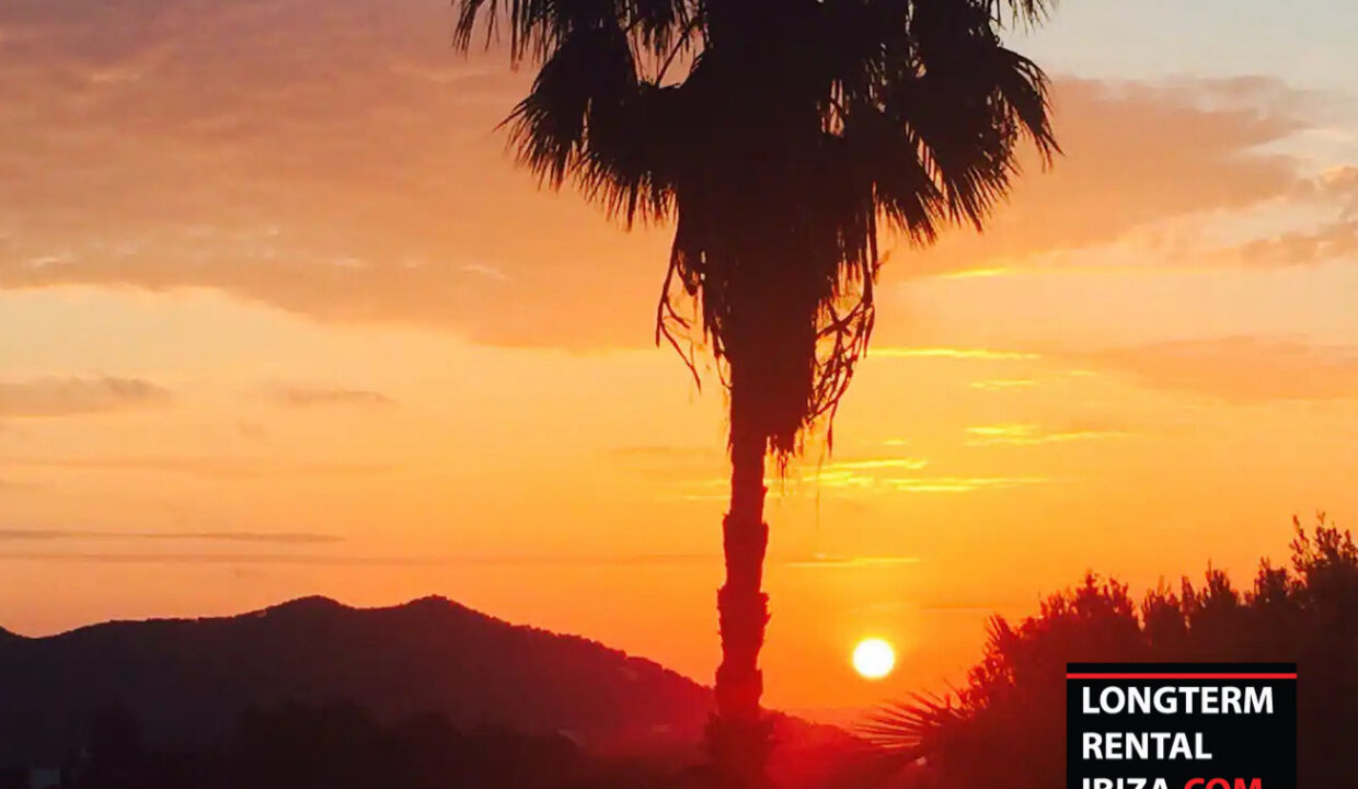 LONGTERM RENTAL IBIZA - FINCA SES OLIVERES 7