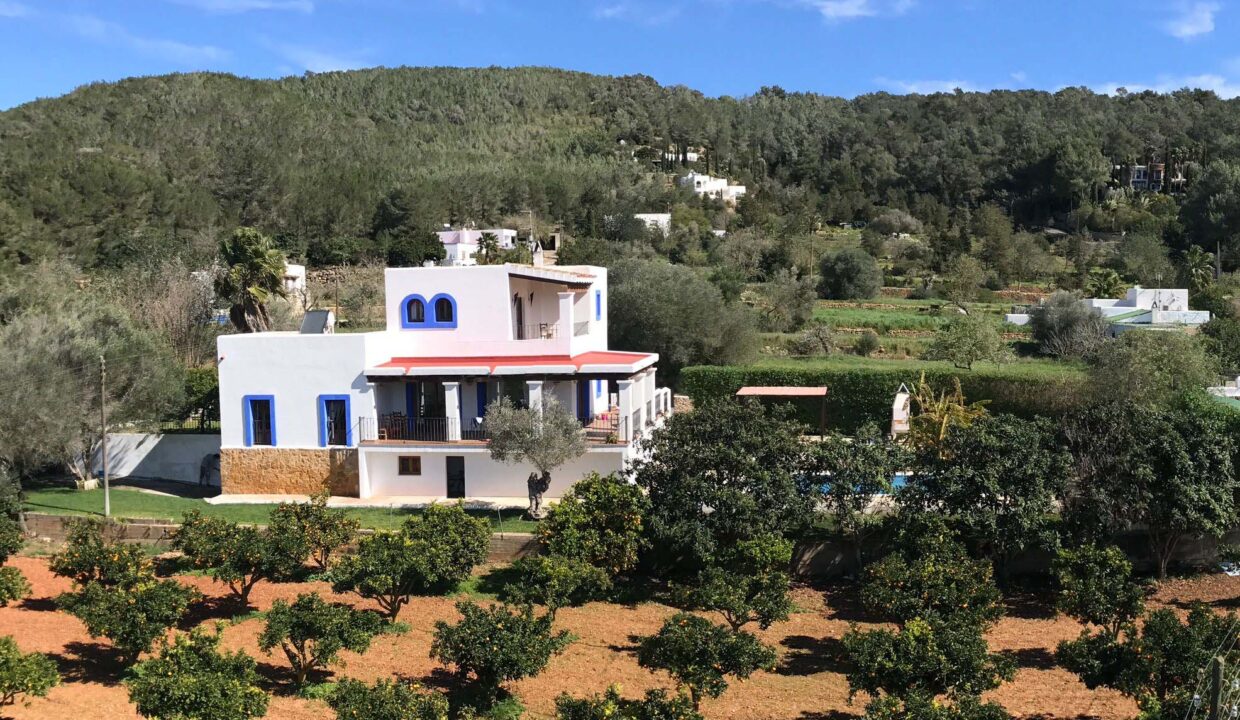 Long term rental ibiza - Villa Atzaro 23
