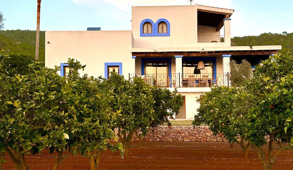 Long term rental ibiza - Villa Atzaro 31