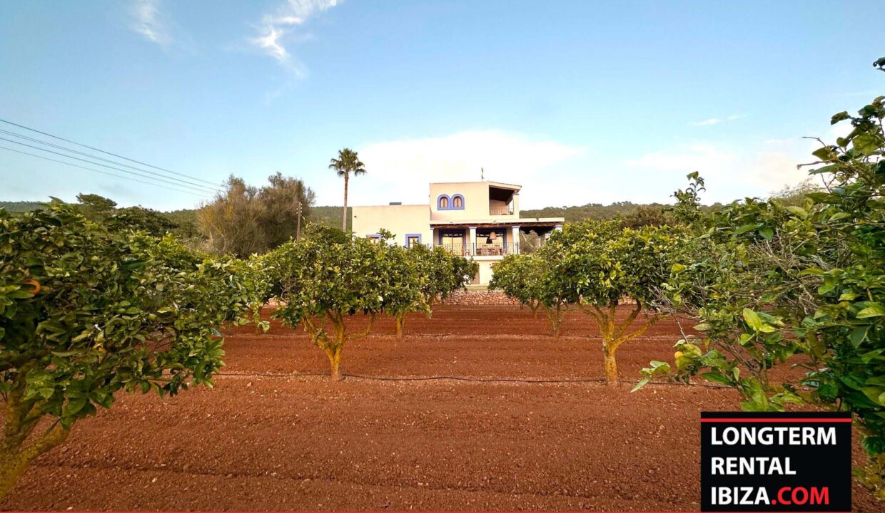 Long term rental ibiza - Villa Atzaro 36