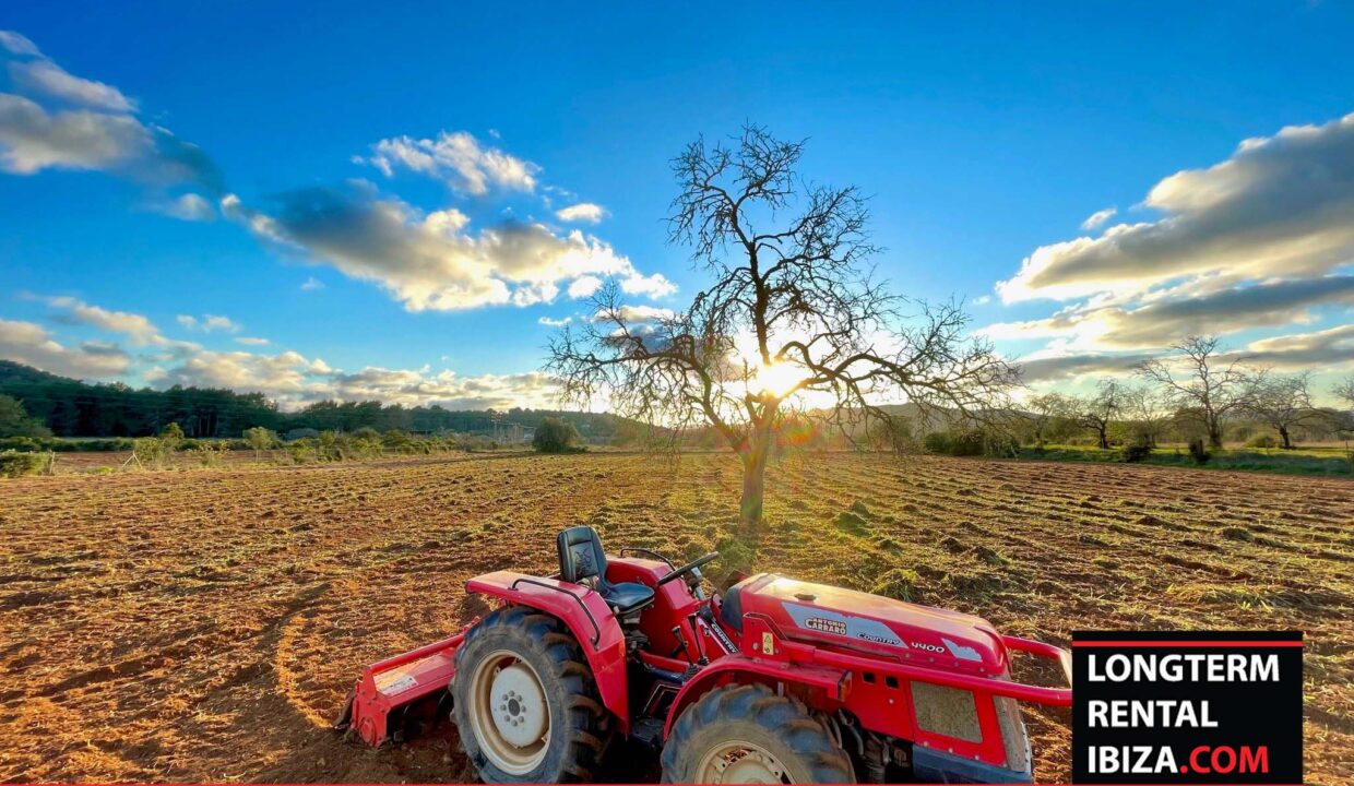 Long term rental ibiza - Villa Atzaro 8