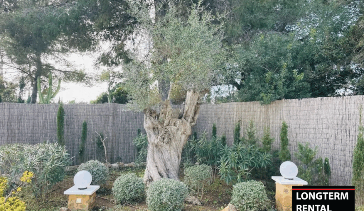 Longterm Rental Ibiza - Villa Serena 3