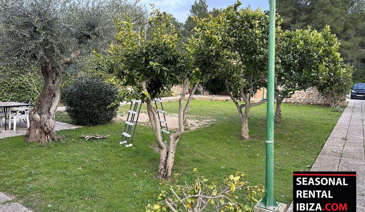 SEASONAL RENTAL IBIZA - GRANADAS 43