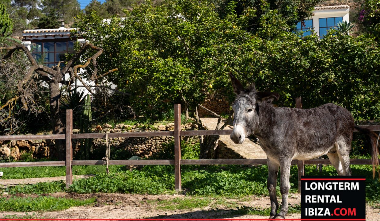 Long term rental ibiza- Finca Autentica 42