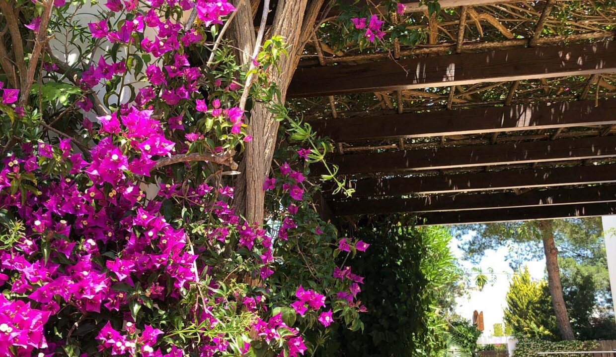 Longterm rental ibiza- Villa In Town Santa Gertrudis 12