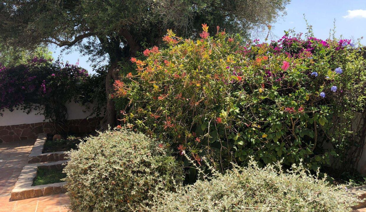 Longterm rental ibiza- Villa In Town Santa Gertrudis 13