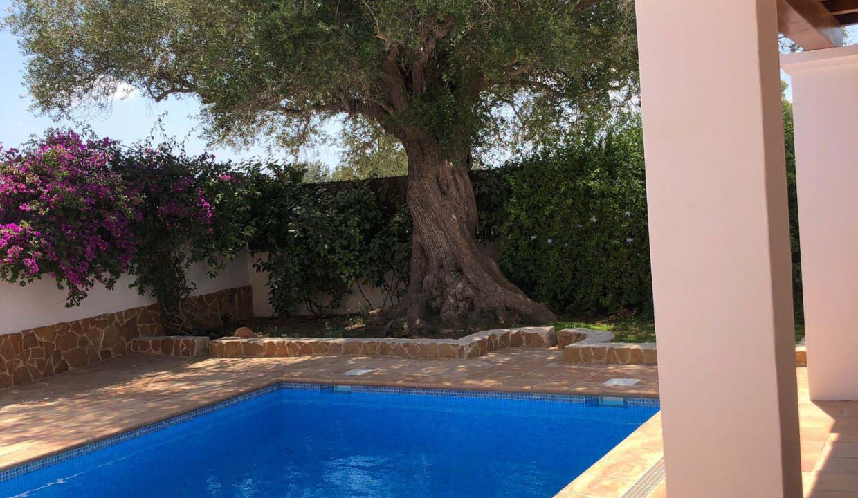 Longterm rental ibiza- Villa In Town Santa Gertrudis 3