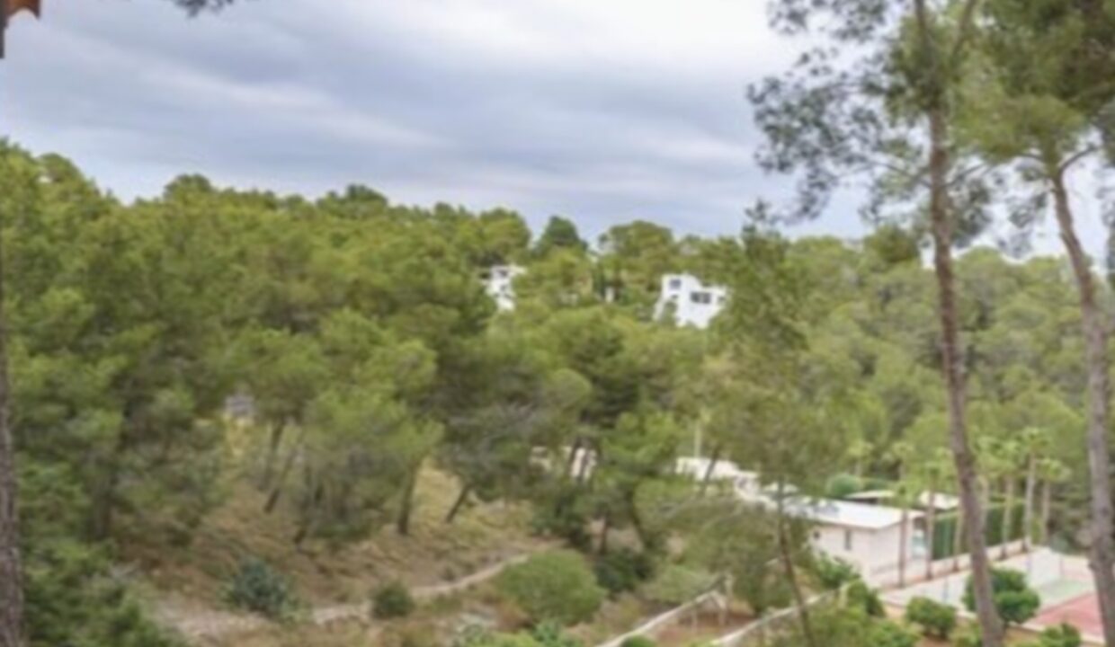 Longterm Rental Ibiza - Casa de Madera 4